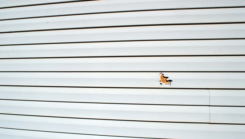 Restoration of Damaged Siding